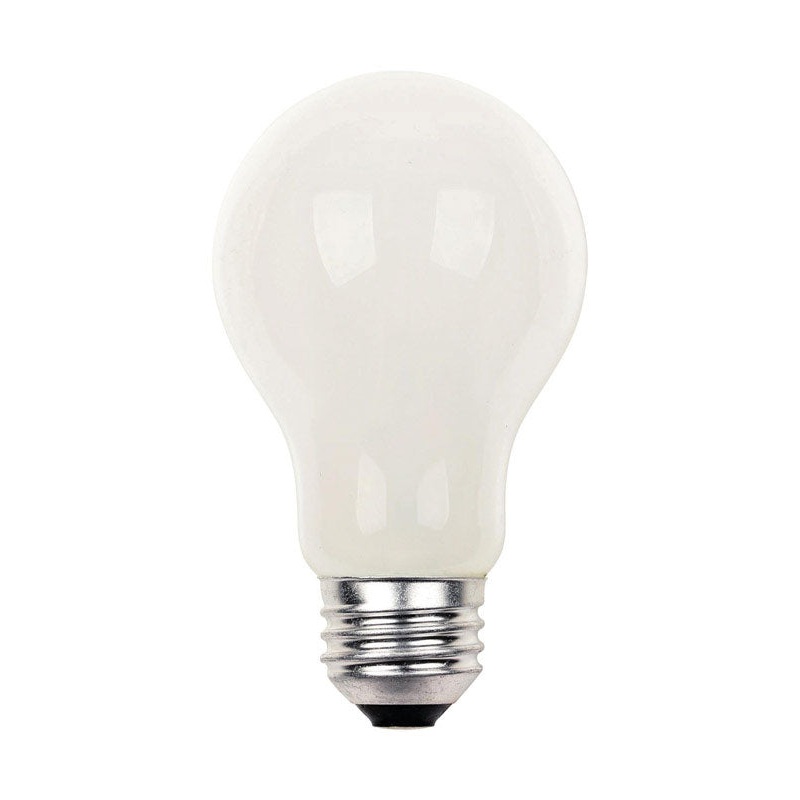Westinghouse Halogen Light Bulb 42 watts 760 lumens A-Line A19 Medium Base (E26) Soft White 12