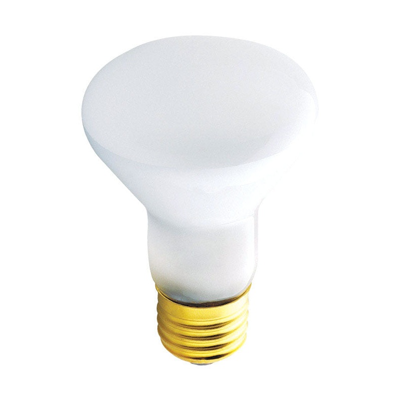 Westinghouse Incandescent Light Bulb 45 watts 380 lumens 2700 K Floodlight R20 Medium Base (E26)