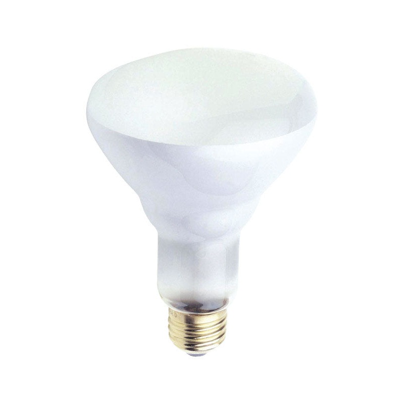 Westinghouse Incandescent Light Bulb 65 watts 650 lumens 2700 K Floodlight BR30 Medium Base (E26
