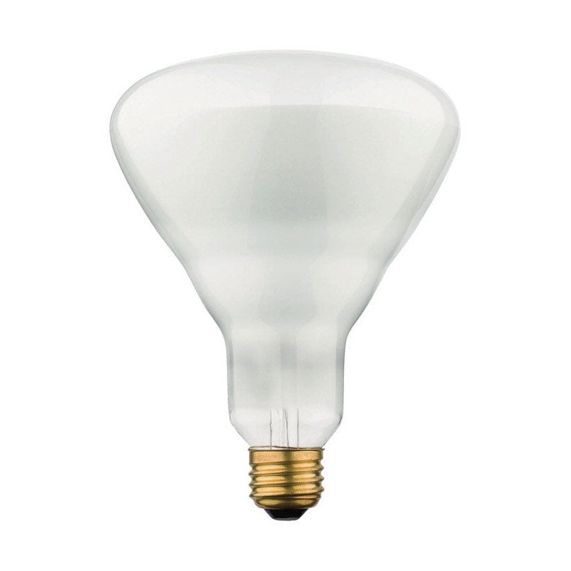 Westinghouse Incandescent Light Bulb 65 watts 715 lumens 2700 K Floodlight BR40 Medium Base (E26