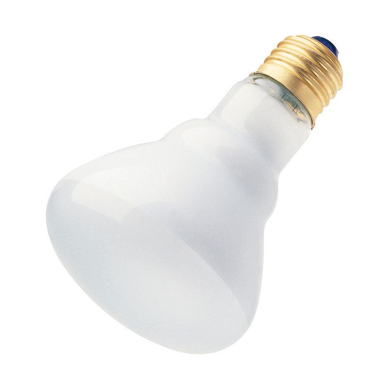 Westinghouse Reflector 53 Watts 960 lumens BR25 Floodlight Bulb