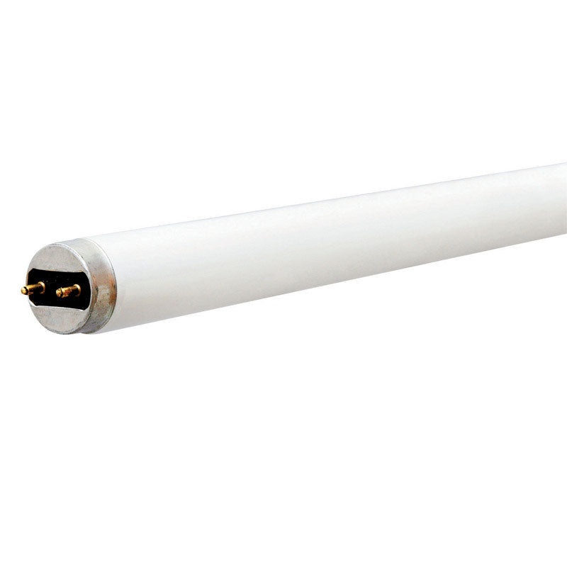 Ace Fluorescent Bulb 32 watts 2900 lumens Linear T8 48 in. L Cool White 2 pk