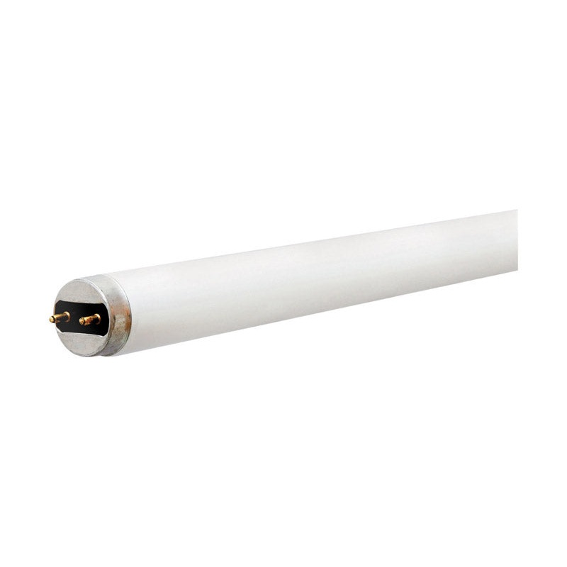 GE Fluorescent Bulb 32 watts 2900 lumens Linear T8 48 in. L Cool White 1 pk