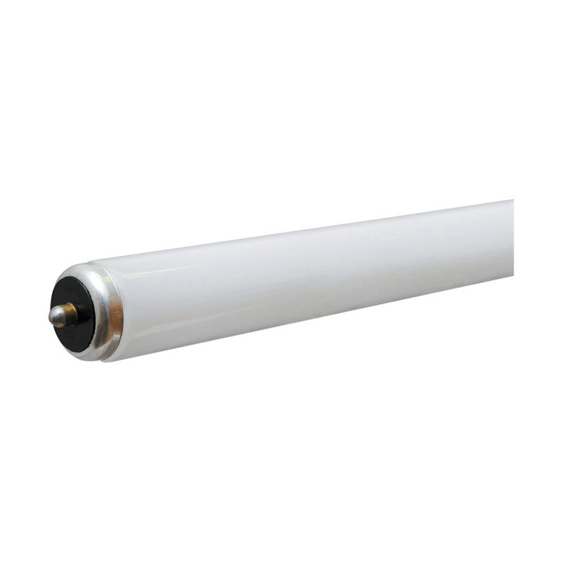 GE Fluorescent Bulb 59 watts 5800 lumens Linear T8 96 in. L Neutral White 1 pk