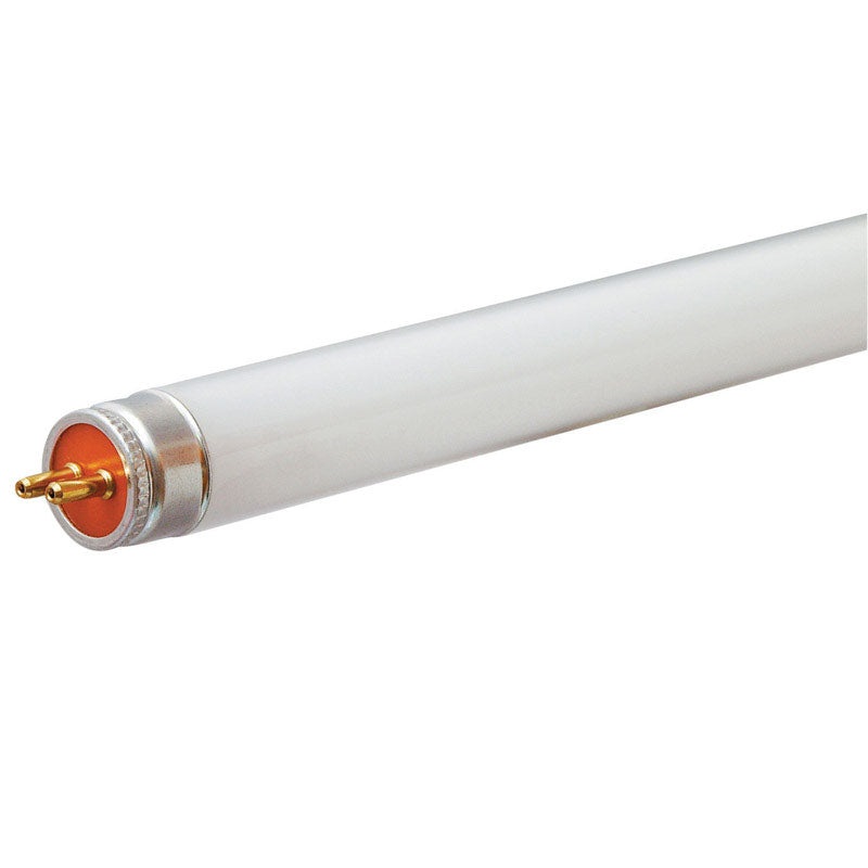 GE Fluorescent Bulb 13 watts 850 lumens Linear T5 21 in. L Cool White 1 pk