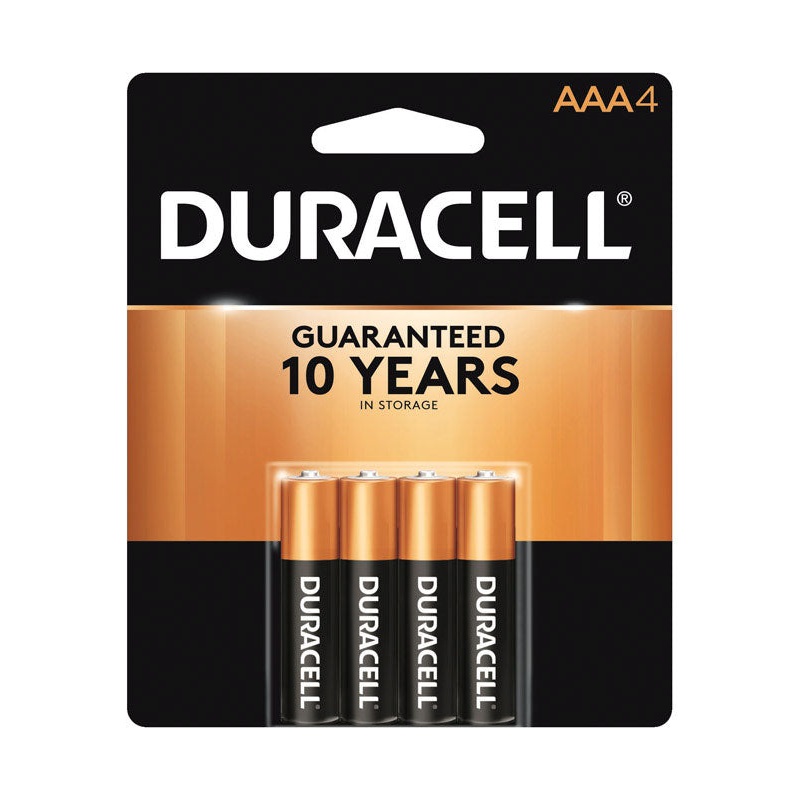 Duracell Coppertop AAA Alkaline Batteries 1.5 volts 4 pk