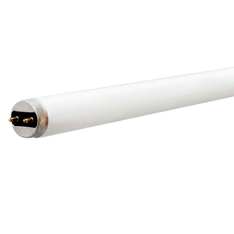 GE Fluorescent Bulb 15 watts 615 lumens Linear T8 18 in. L White 1 pk