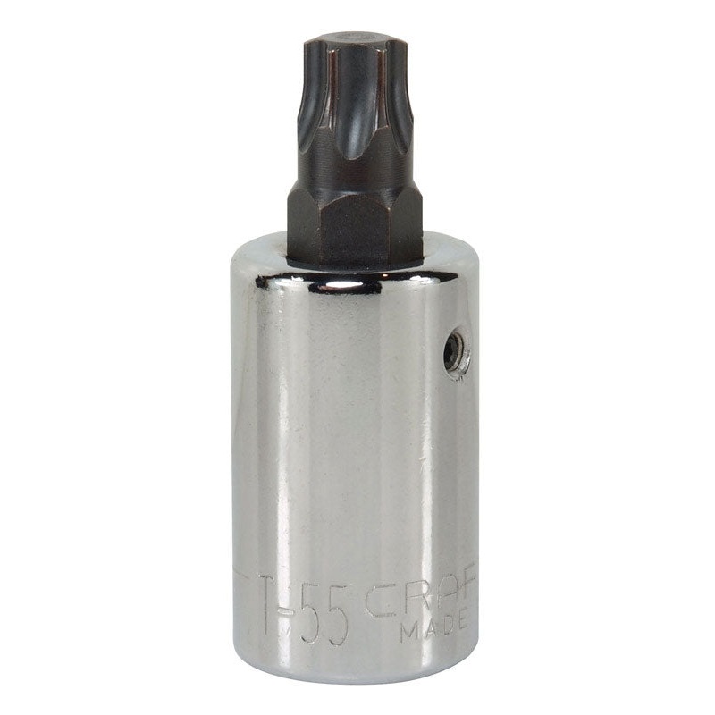 Craftsman 1/2 in. Drive T55 Standard Torx Bit Socket