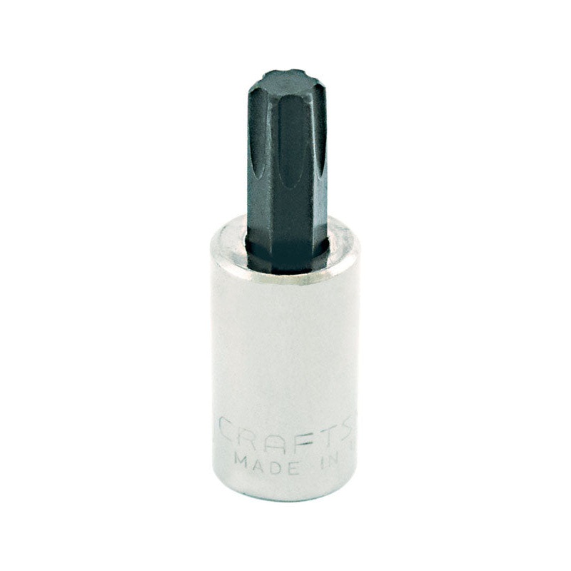 Craftsman 3/8 in. Drive T50 Standard Torx Bit Socket