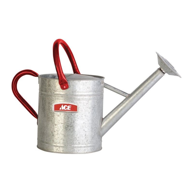 Ace Gray 2 gal. Steel Watering Can