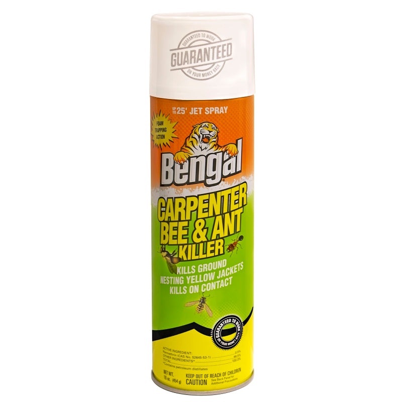 Bengal 97199 Carpenter Bee and Ant Killer, Spray Application, 16 oz