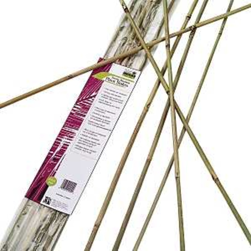 Gardener’s Blue Ribbon BB6N Plant Stake, 6 ft L, Bamboo, Natural