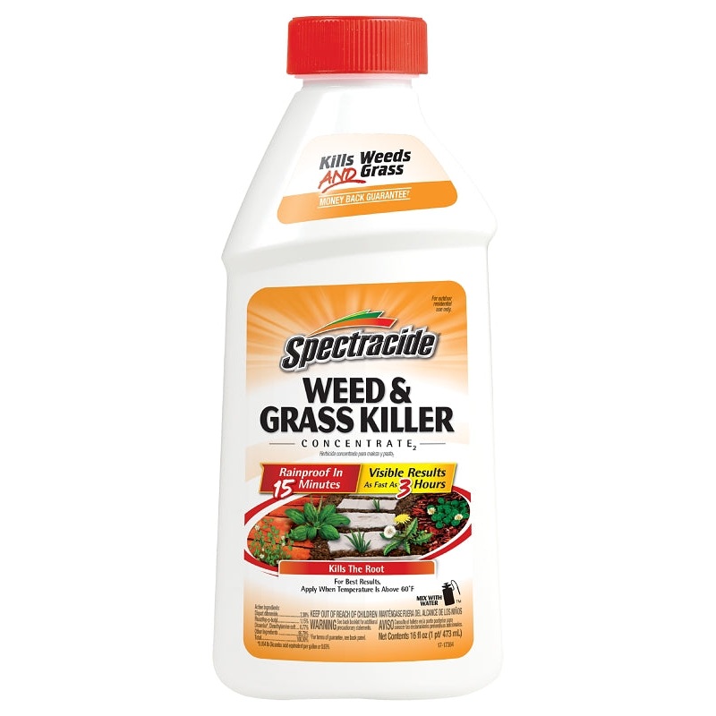 Spectracide HG-66001 Weed and Grass Killer, Liquid, Amber, 16 oz