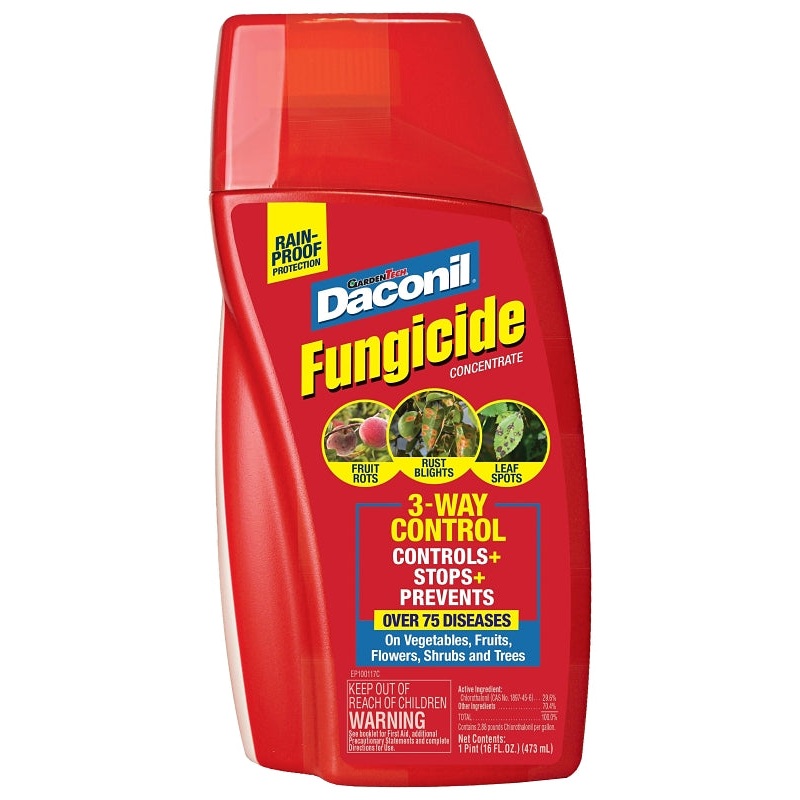 Daconil 100526103 Fungicide, Liquid, Odorless, 16 oz Bottle