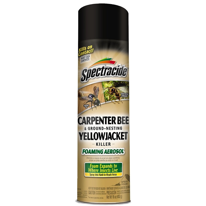 Spectracide 53371 Killer Foam, Liquid, Spray Application, 16 oz