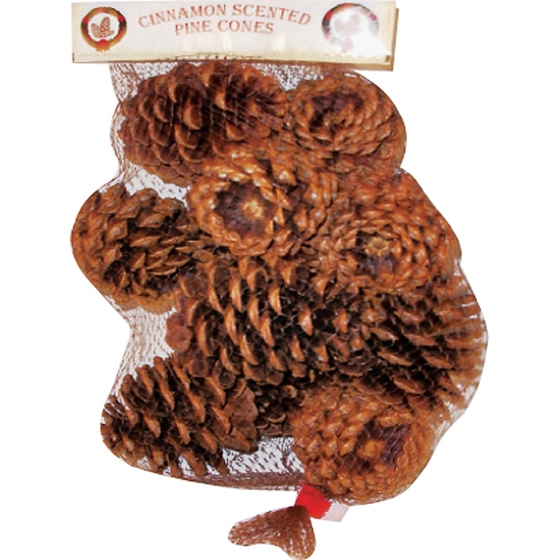 Hometown Holidays 70410-20 Christmas Specialty Decoration, Scented Pine Cone, Natural Wood/Cinnamon Oil, Brown, Pack of 20