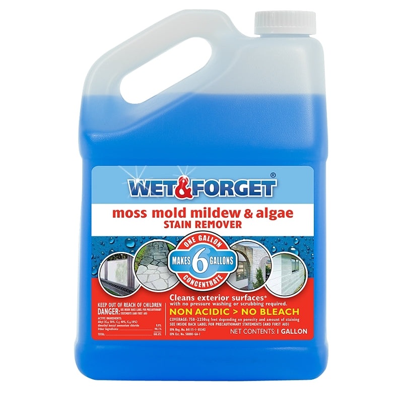 REMOVER MOLD/MLDW STAIN 1 GAL, Pack of 4