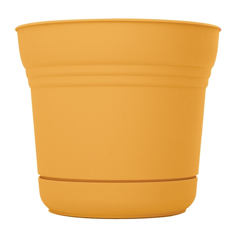 Bloem SP0523 Planter, 5 in Dia, 4-1/2 in H, 5 in W, Saturn Design, Earthy Yellow, Matte