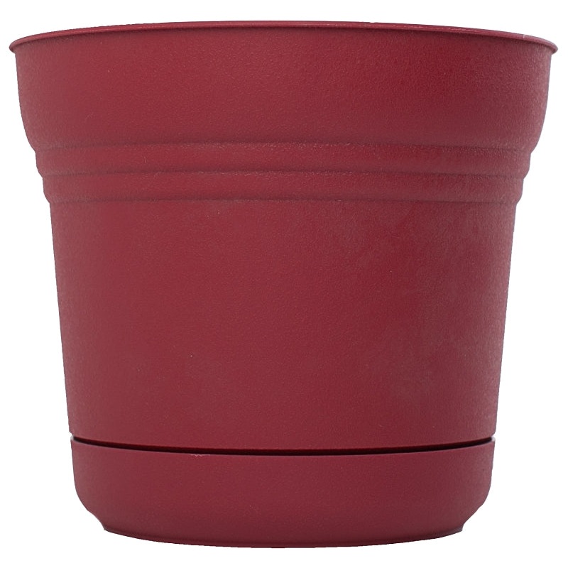 Bloem SP1212 Planter, 12.3 in H, 10.8 in W, Polypropylene, Union Red