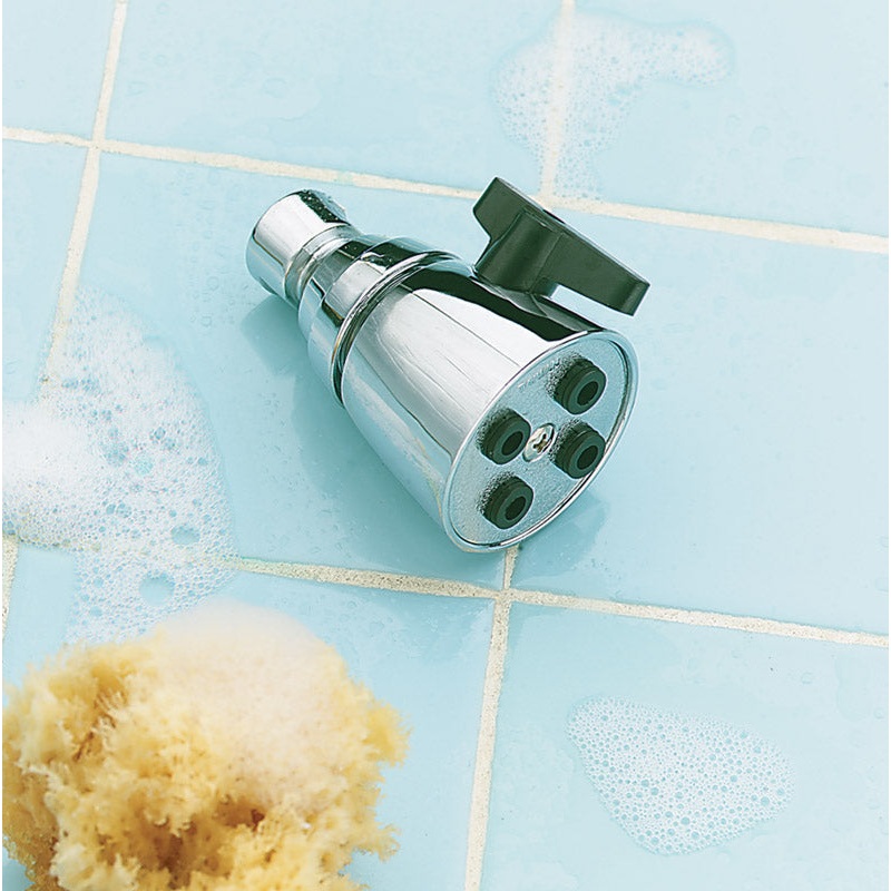 Ace Chrome Showerhead 2.5 gpm