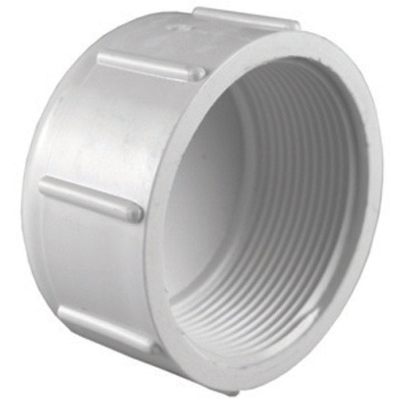 Charlotte Pipe 2 in. Dia. Schedule 40 FPT To FPT PVC Cap