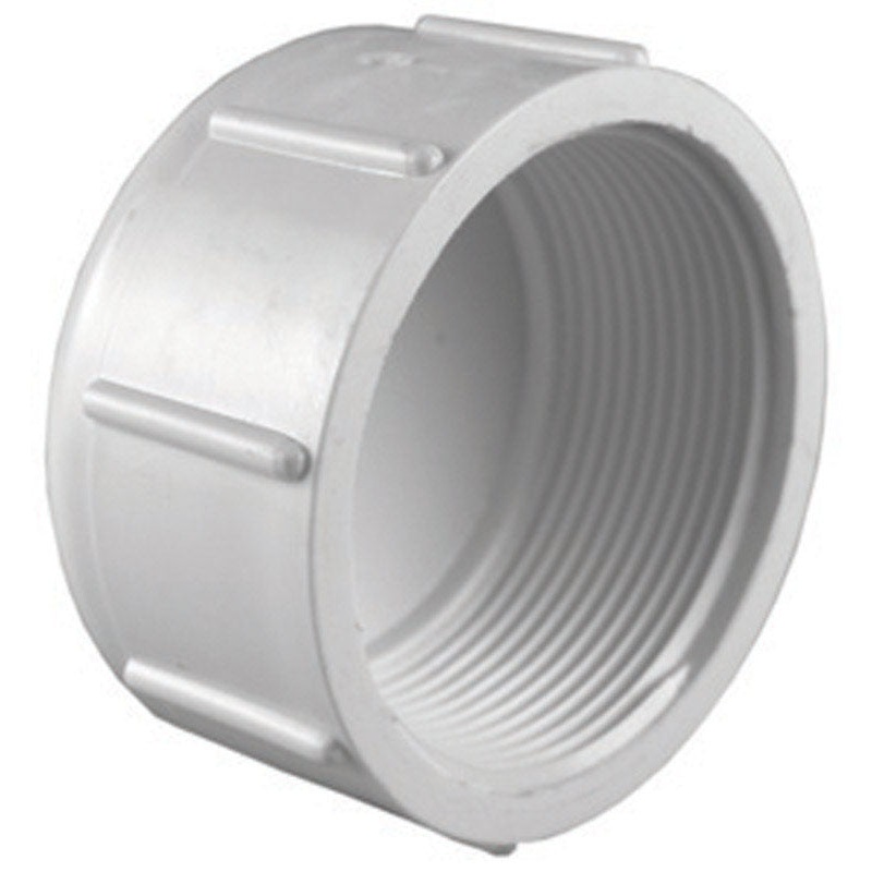 Charlotte Pipe Schedule 40 FPT To FPT 1 in. Dia. PVC Cap