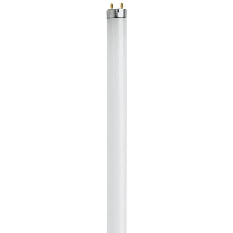 LAMP FLUORESCENT 18IN 15W, Pack of 6