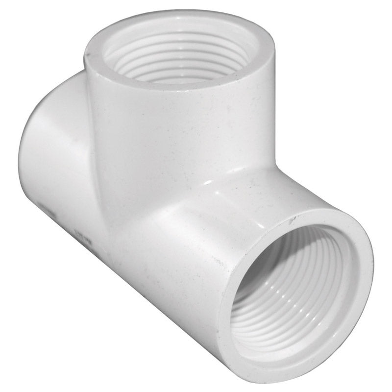 Charlotte Pipe 3/4 in. Dia. x 3/4 in. Dia. x 3/4 in. Dia. Schedule 40 FPT To FPT To FPT PVC Thre