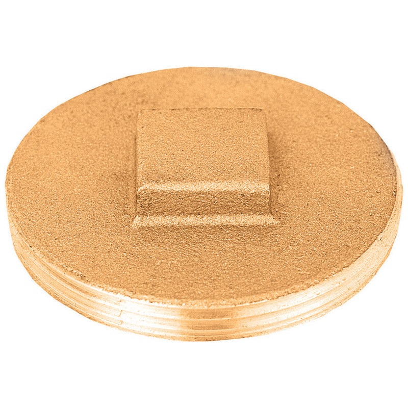 Sioux Chief 1-1/4 in. Dia. MIP Brass Raised Plug