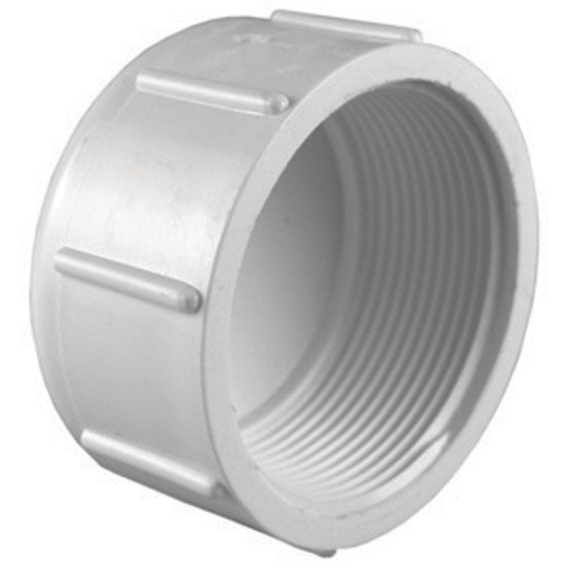 Charlotte Pipe 3 in. Dia. FPT Schedule 40 PVC Cap