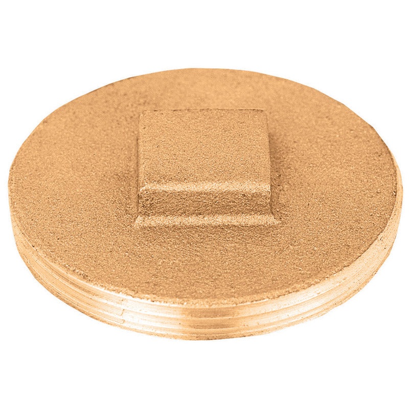 Sioux Chief 2-1/2 in. Dia. MIP Brass Replacement Plug