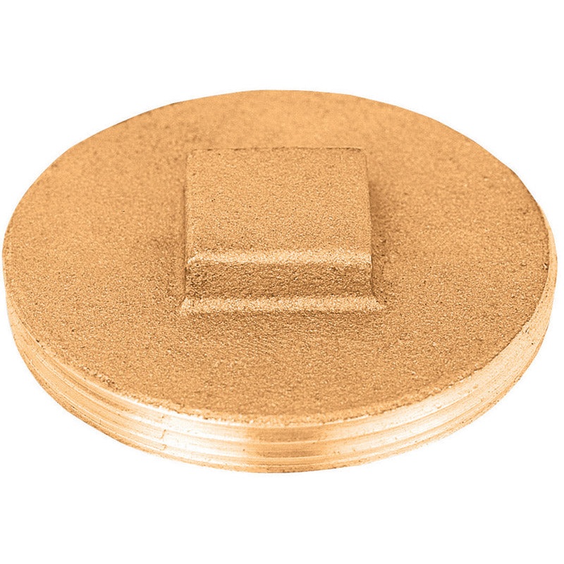 Sioux Chief 3 in. Dia. MIP Brass Replacement Plug