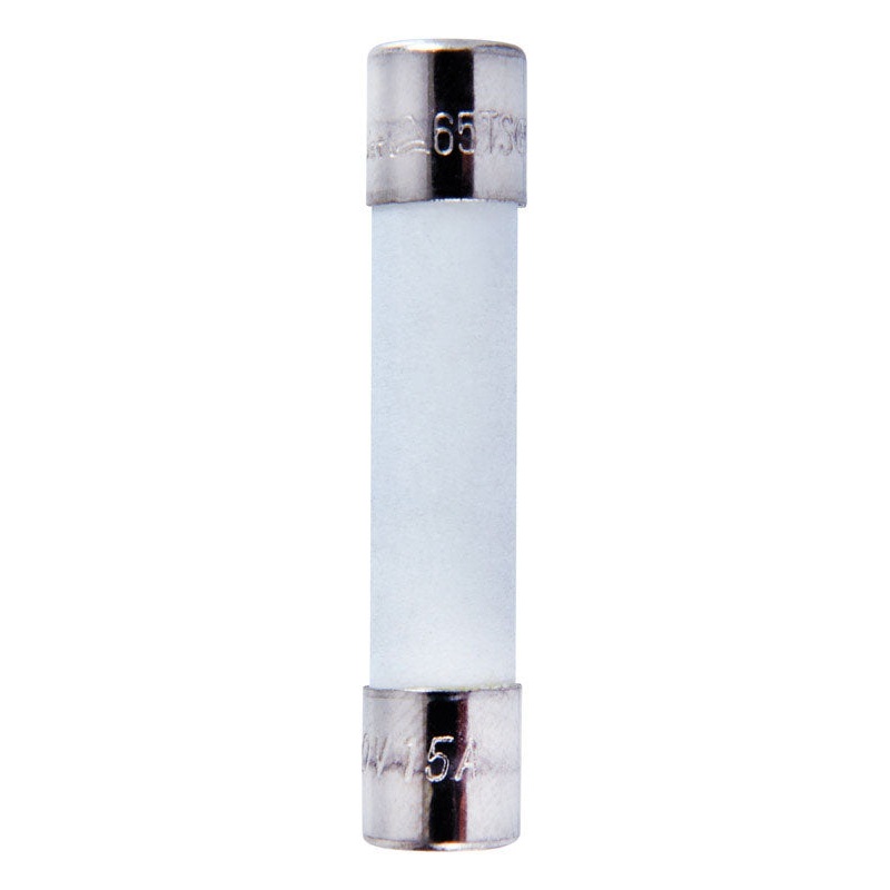 Jandorf Time Delay Ceramic Fuse 15 amps 250 volts 1/4 in. Dia. x 1-1/4 in. L 2 pk For Overload abs