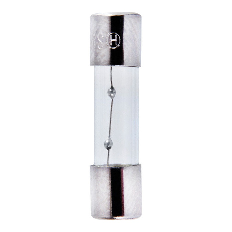 Jandorf Time Delay Glass Fuse 2 amps 250 volts 5 mm Dia. x 20 mm L 2 pk For Overload absorption