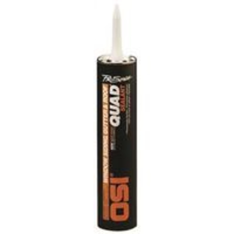 10 oz Clear Quad Sealant for Paint