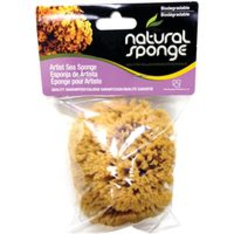 SM Medium Texture Paint Sponge