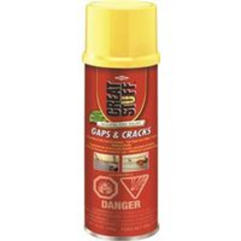 12 oz Expanding Foam Sealant for Paint