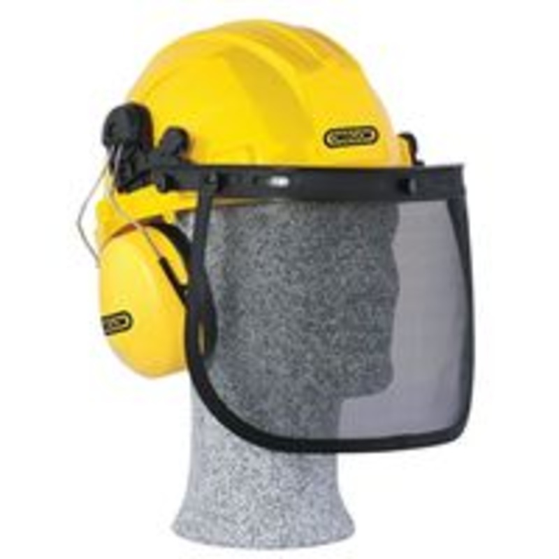 Helmet and Visor Safety Combo