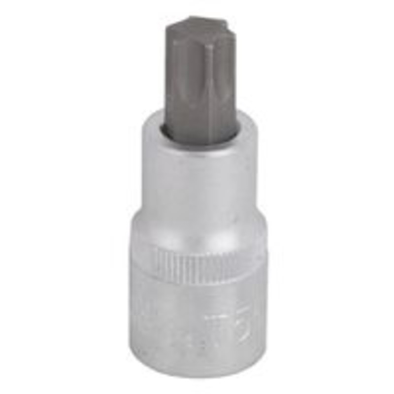 Bit Star 1/2-Inch Drive T55 Bit