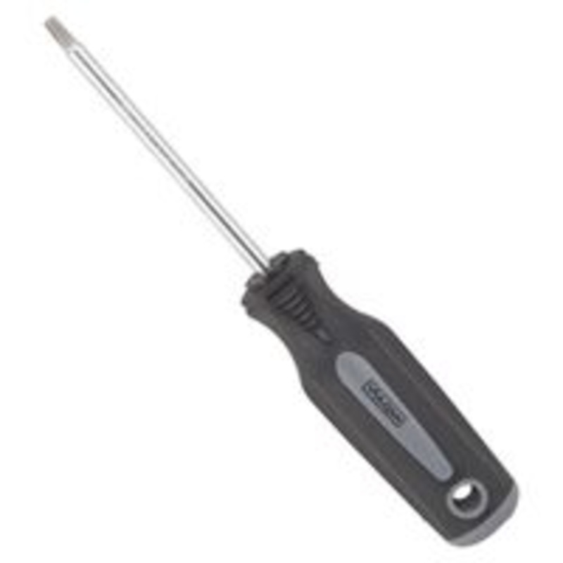 Star Screwdriver T25, 4-Inch