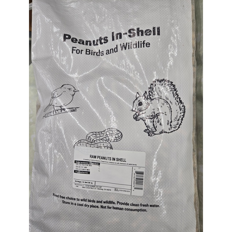 10 lb Peanuts in Shell (10 lbs)