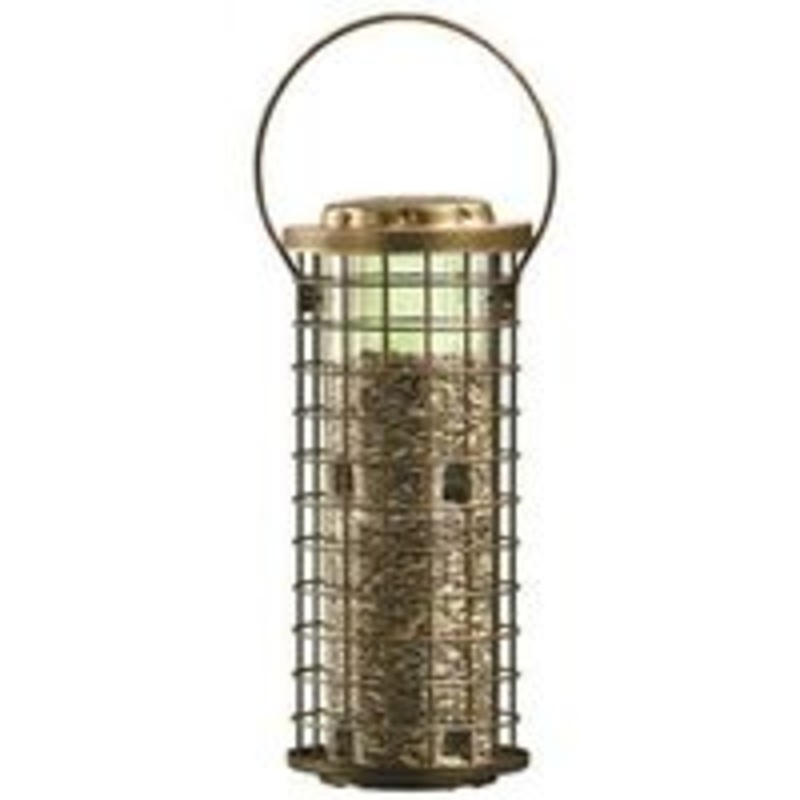 3 lb Wild Bird Feeder (3 lbs)