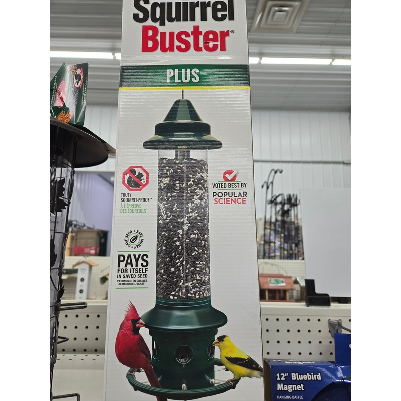 Squirrel Buster Plus Bird Feeder