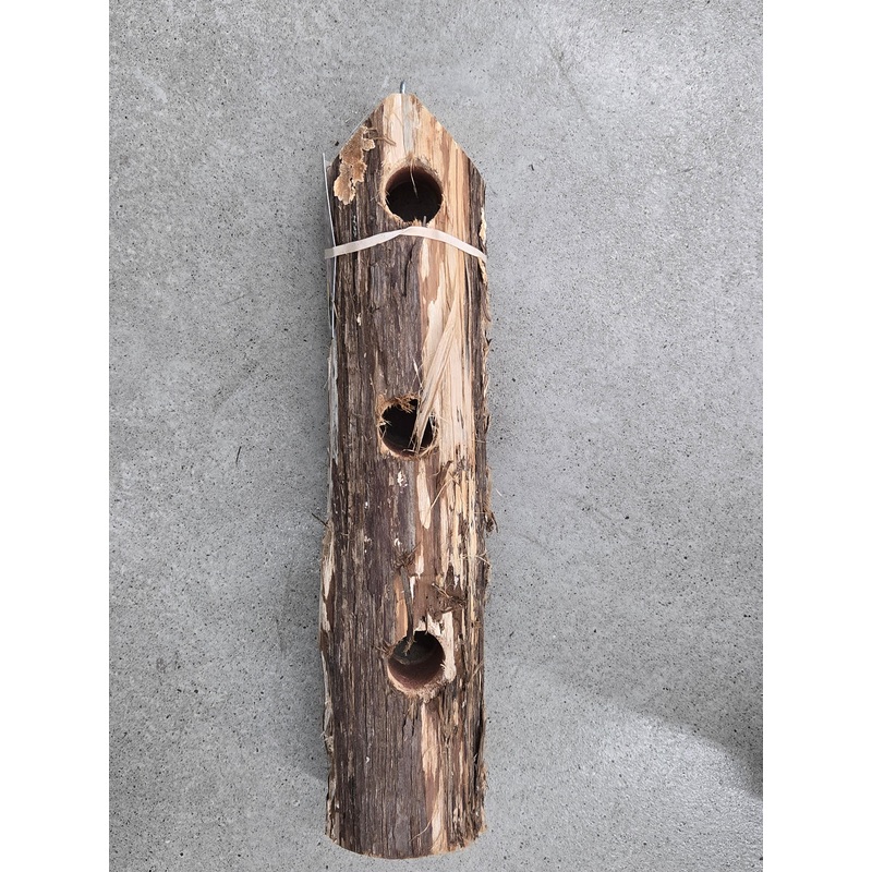 6-Plug Suet Log Without Perch