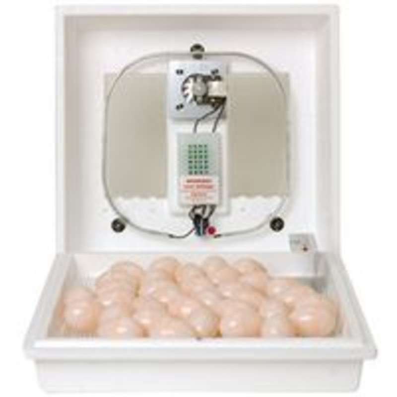 Circulated Egg Incubator