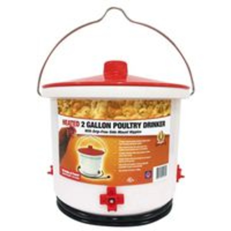 Heated 2-Gallon Poultry Drinker