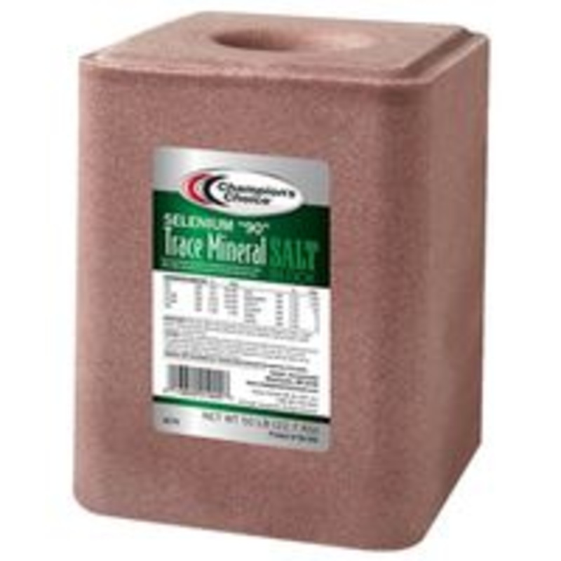 Selenium 90 Block, 50 lb