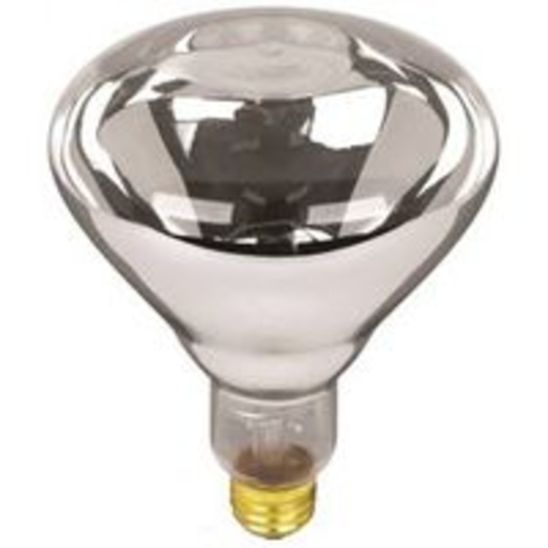 125W Clear Heat Bulb