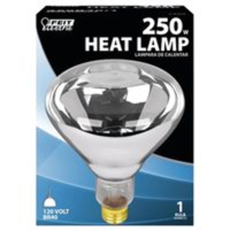 250W Clear Heat Bulb