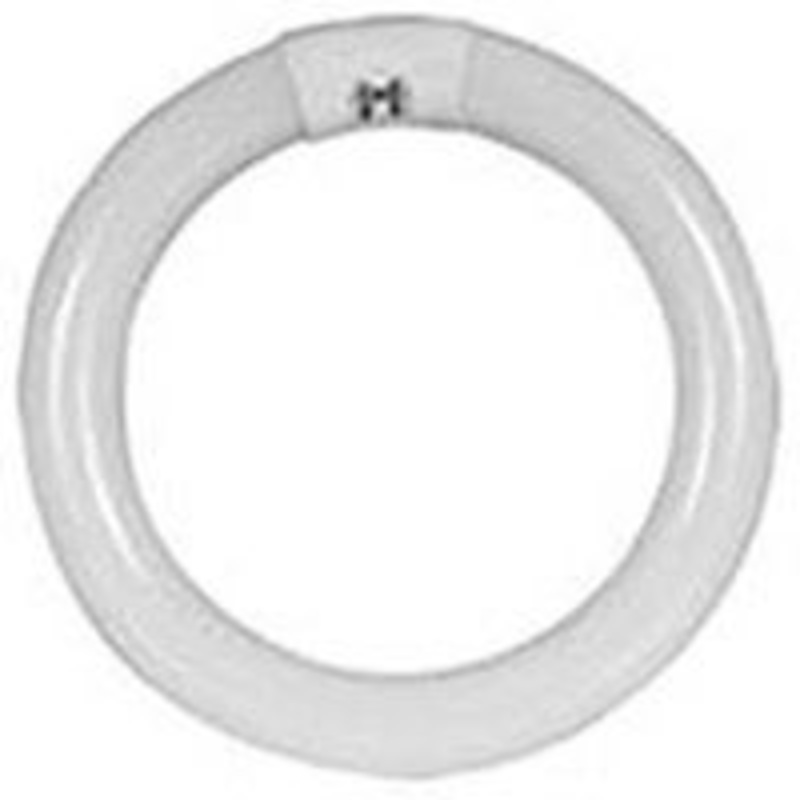 32W Cool White Circular Fluorescent Bulb